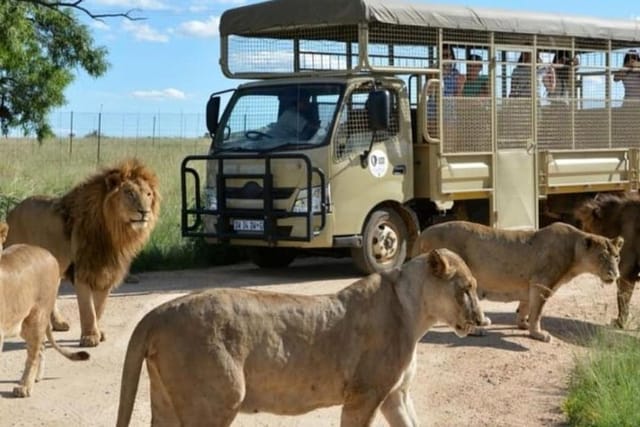 Pilanesberg Nature Reserve & Lion & Rhino Park Private  - Photo 1 of 10